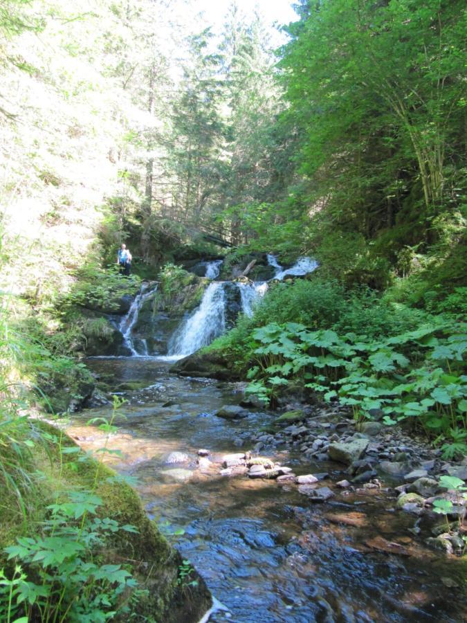 Roetenbacher Wiesen Friedenweiler Esterno foto