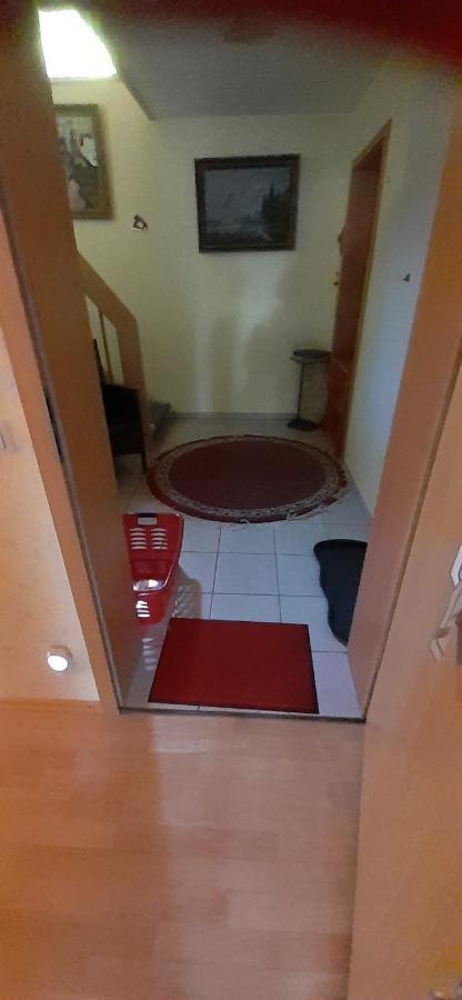 Roetenbacher Wiesen Friedenweiler Esterno foto