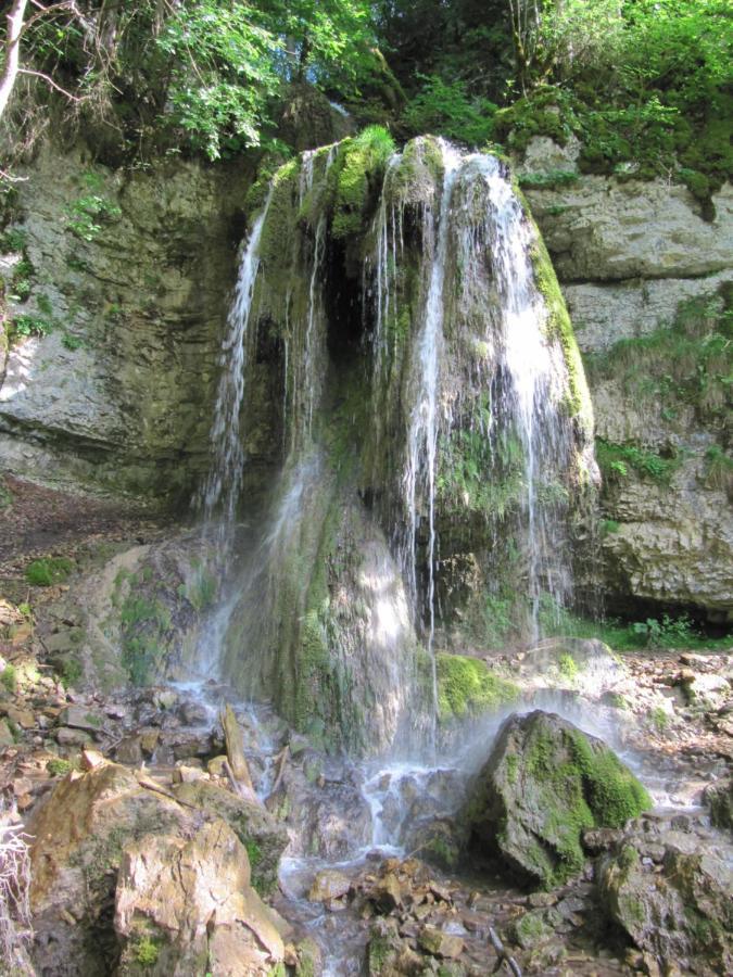 Roetenbacher Wiesen Friedenweiler Esterno foto