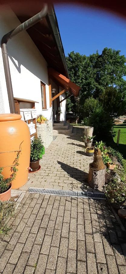 Roetenbacher Wiesen Friedenweiler Esterno foto